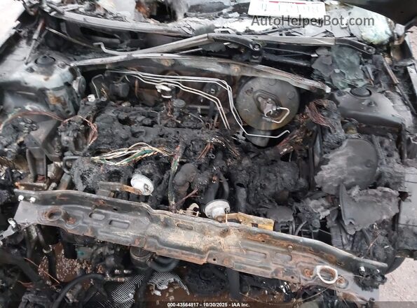 5NPE34AF1GH277065 2016 HYUNDAI SONATA White უკანა ხედი