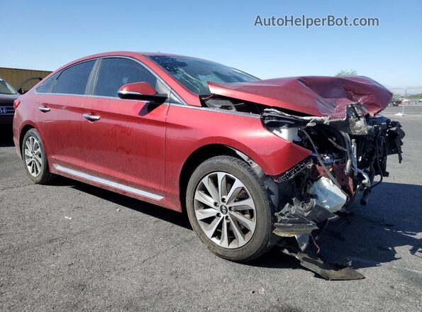 5NPE34AF2GH273591 2016 HYUNDAI SONATA Red Передня права чверть