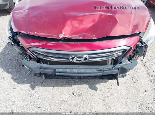 5NPE34AF7GH378921 2016 HYUNDAI SONATA Красный Вид спереди