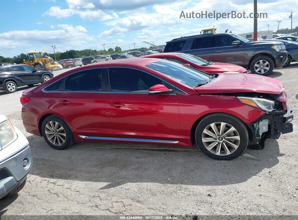 5NPE34AF7GH378921 2016 HYUNDAI SONATA Красный Вид задней части салона