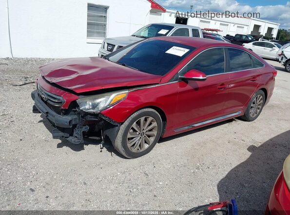 5NPE34AF7GH378921 2016 HYUNDAI SONATA Красный Передняя левая четверть