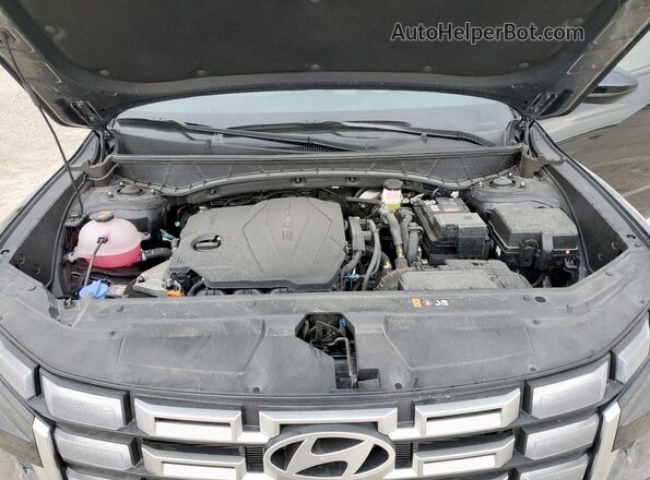 5NTJA4DE0SH136764 2025 HYUNDAI SANTA Black უკანა სალონის ხედი