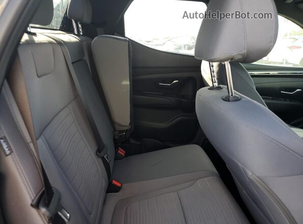 5NTJB4DEXRH103052 2024 HYUNDAI SANTA Gray Widok tylnych siedzeń