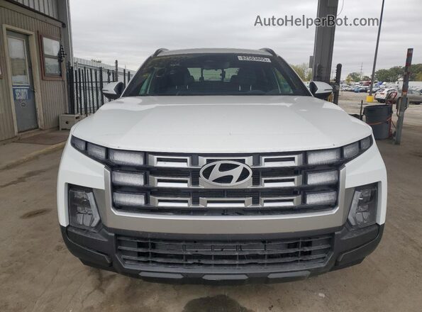 5NTJCDDE6SH131515 2025 HYUNDAI SANTA Белый 