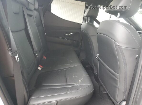 5NTJCDDE6SH131515 2025 HYUNDAI SANTA Белый 
