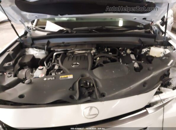 5TDAAAB64SS034869 2025 LEXUS TX 350 White უკანა ხედი