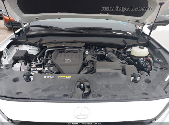 5TDABAB67SS009302 2025 LEXUS TX 500H White Вид ззаду