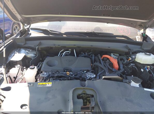 5TDACAB52SS054474 2025 TOYOTA LIMITED Gray Vista trasera
