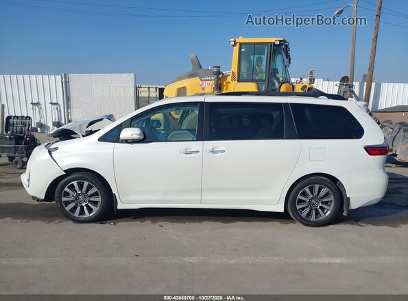 5TDYZ3DC2LS084449 2020 TOYOTA LIMITED Silver Սալոնի հետևի տեսք