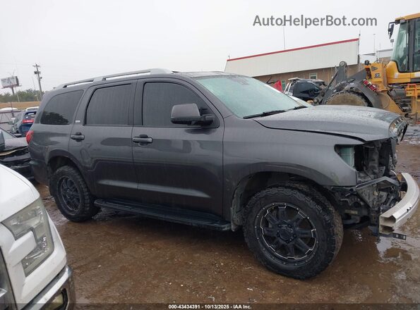 5TDZY5G12JS069833 2018 TOYOTA SEQUOIA Gray Widok wnętrza 360 stopni