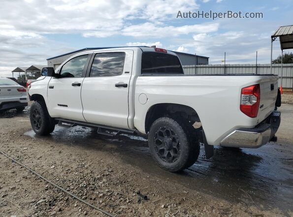 5TFDY5F13MX966573 2021 TOYOTA TUNDRA White Հետևի ձախ