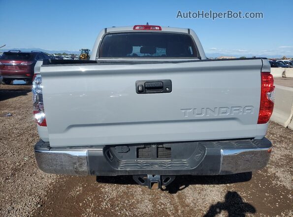 5TFEY5F19MX281465 2021 TOYOTA TUNDRA Gray უკანა ხედი