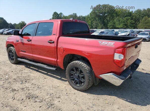 5TFEY5F1XMX291177 2021 TOYOTA TUNDRA Red Հետևի ձախ