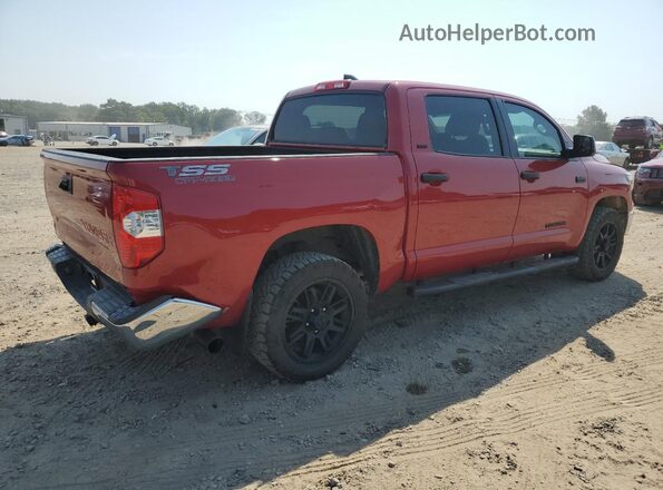 5TFEY5F1XMX291177 2021 TOYOTA TUNDRA Red Հետևի աջ