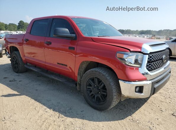 5TFEY5F1XMX291177 2021 TOYOTA TUNDRA Red Առջևի աջ
