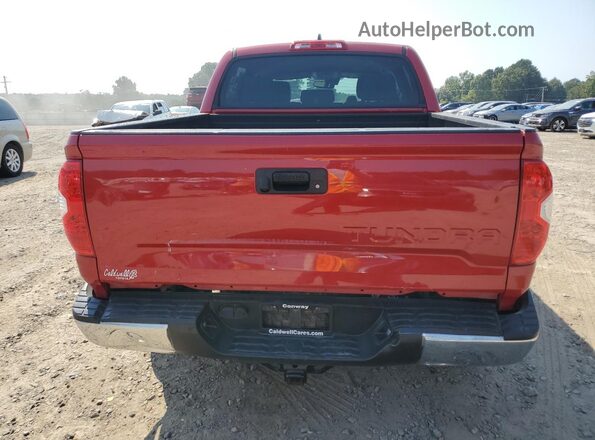 5TFEY5F1XMX291177 2021 TOYOTA TUNDRA Red Հետևի տեսք
