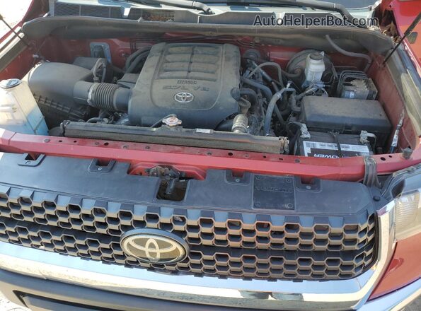 5TFEY5F1XMX291177 2021 TOYOTA TUNDRA Red Սալոնի հետևի տեսք