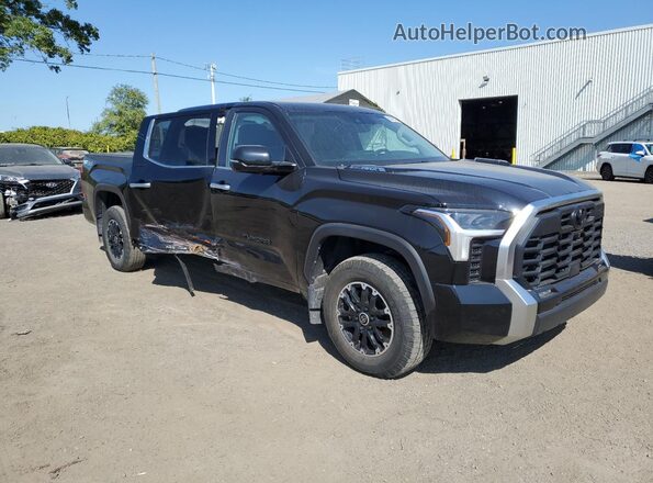 5TFJC5EC8PX003676 2023 TOYOTA LIMITED Black Передня права чверть