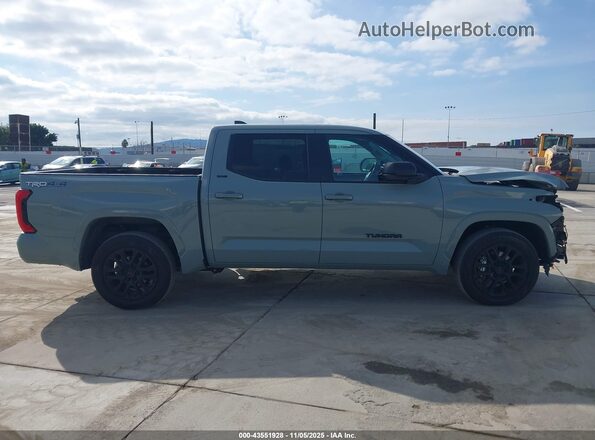 5TFLA5DB0RX208239 2024 TOYOTA TUNDRA Зеленый Панорамный вид салона 360°