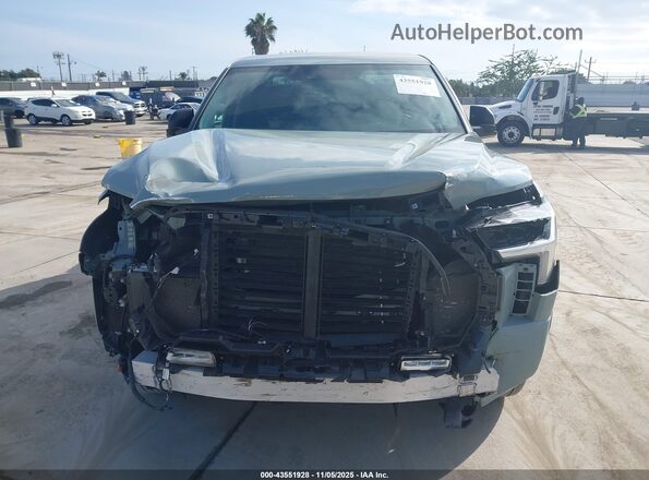 5TFLA5DB0RX208239 2024 TOYOTA TUNDRA Зеленый Вид задней части салона