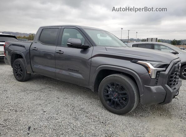 5TFLA5DB1RX203552 2024 TOYOTA TUNDRA Charcoal 