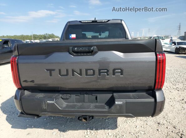 5TFLA5DB9RX198018 2024 TOYOTA TUNDRA Gray Rear view