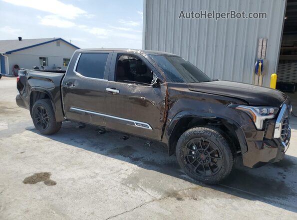 5TFMA5DB2SX315626 2025 TOYOTA TUNDRA Коричневый Передняя правая четверть