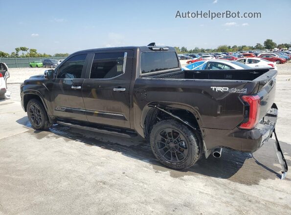 5TFMA5DB2SX315626 2025 TOYOTA TUNDRA Коричневый Задняя левая четверть