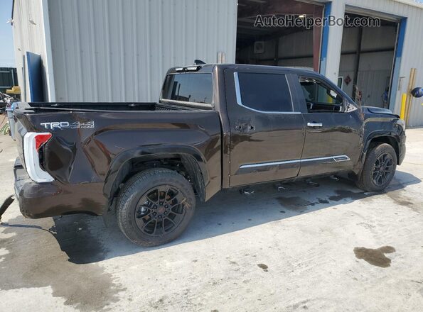 5TFMA5DB2SX315626 2025 TOYOTA TUNDRA Коричневый Задняя правая четверть