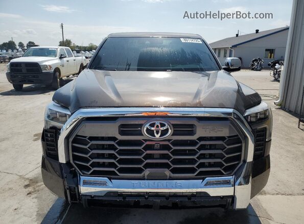 5TFMA5DB2SX315626 2025 TOYOTA TUNDRA Коричневый Вид спереди
