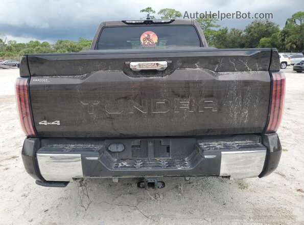 5TFMA5DB4NX016515 2022 TOYOTA TUNDRA Коричневый Вид сзади