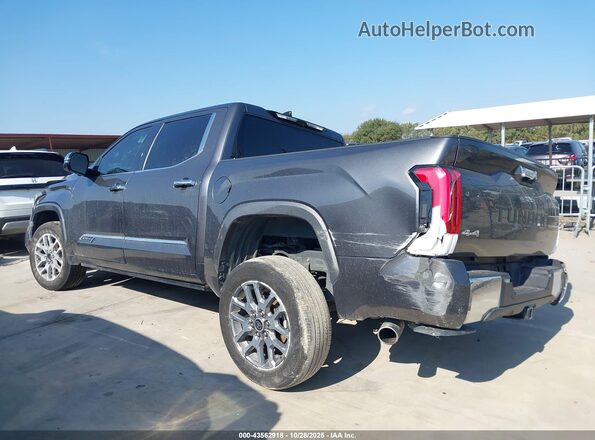 5TFMA5DB7PX121603 2023 TOYOTA TUNDRA Gray Սալոնի հետևի տեսք
