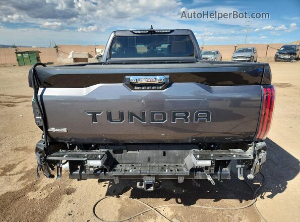 5TFMA5EC1PX016501 2023 TOYOTA TUNDRA Gray Rear view