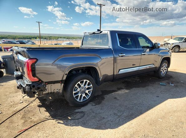 5TFMA5EC1PX016501 2023 TOYOTA TUNDRA Gray Rear right