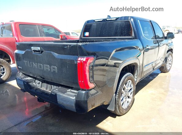 5TFMC5DB2RX079502 2024 TOYOTA TUNDRA HYBRID Черный Задняя правая четверть