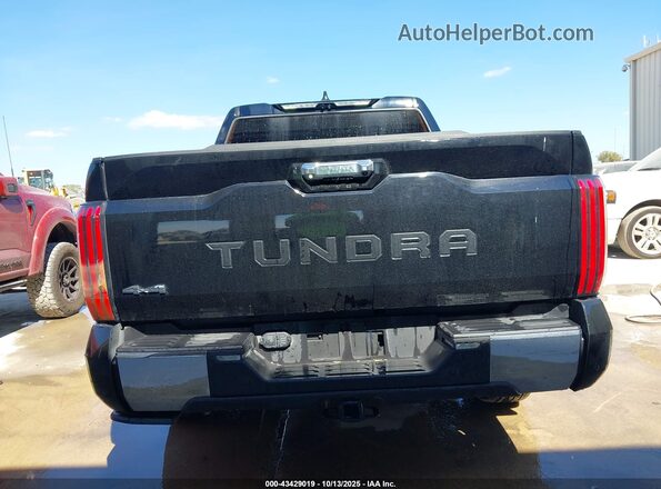 5TFMC5DB2RX079502 2024 TOYOTA TUNDRA HYBRID Черный 