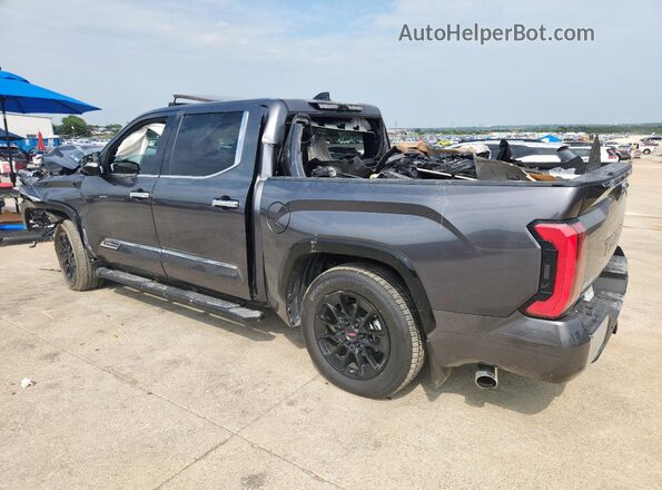 5TFMC5DB3PX026482 2023 TOYOTA TUNDRA Gray Հետևի ձախ