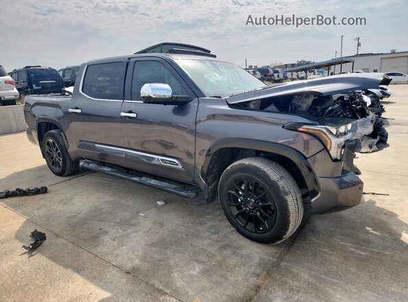 5TFMC5DB3PX026482 2023 TOYOTA TUNDRA Gray Առջևի աջ