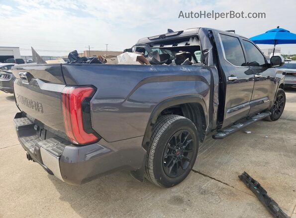 5TFMC5DB3PX026482 2023 TOYOTA TUNDRA Gray Հետևի աջ