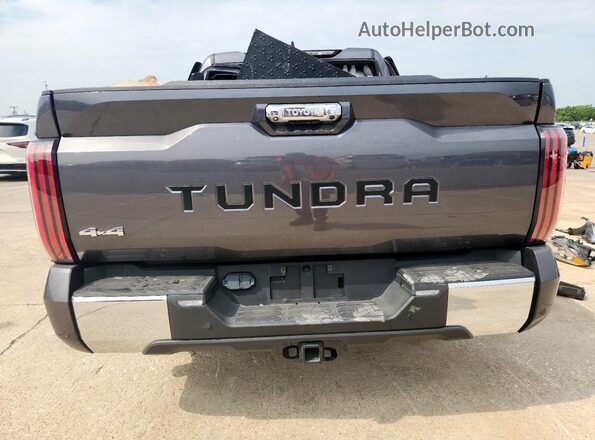 5TFMC5DB3PX026482 2023 TOYOTA TUNDRA Gray Հետևի տեսք