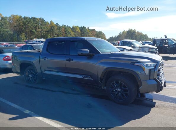 5TFNC5DB1PX033094 2023 TOYOTA TUNDRA HYBRID Gray უკანა სალონის ხედი