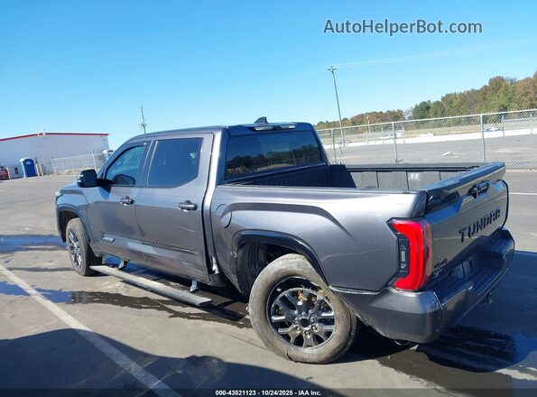 5TFNC5DB1PX033094 2023 TOYOTA TUNDRA HYBRID Gray სალონის 360-გრადუსიანი ხედი