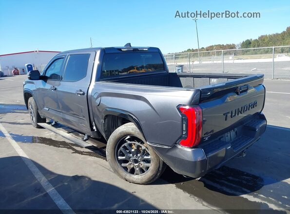 5TFNC5DB1PX033094 2023 TOYOTA TUNDRA HYBRID Gray უკანა მარცხენა