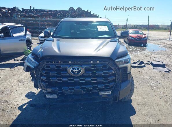 5TFNC5DB7PX018907 2023 TOYOTA TUNDRA HYBRID Gray 