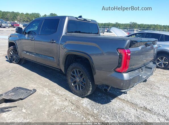 5TFNC5DB7PX018907 2023 TOYOTA TUNDRA HYBRID Gray 