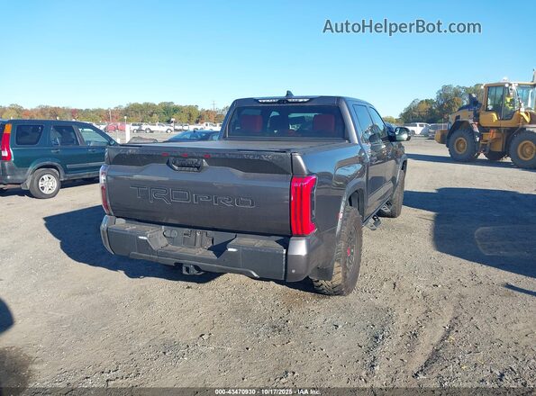 5TFPC5DB0PX022726 2023 TOYOTA TUNDRA HYBRID Gray Tył prawy