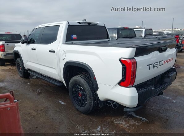 5TFPC5DB0RX076823 2024 TOYOTA TUNDRA HYBRID White Задня ліва чверть