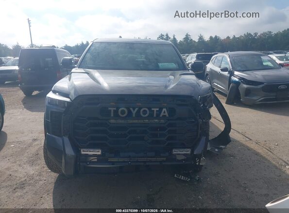 5TFPC5DB7SX103117 2025 TOYOTA TUNDRA HYBRID Серый Вид задней части салона