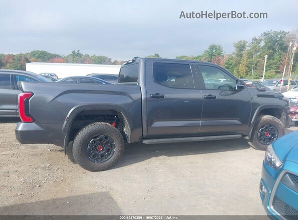 5TFPC5DB7SX103117 2025 TOYOTA TUNDRA HYBRID Серый Панорамный вид салона 360°