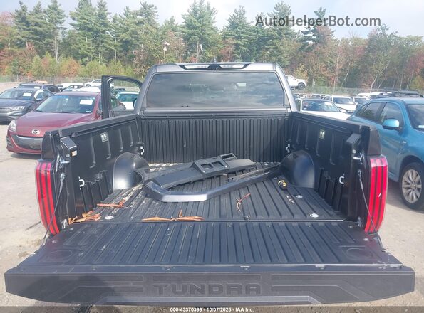 5TFPC5DB7SX103117 2025 TOYOTA TUNDRA HYBRID Серый 